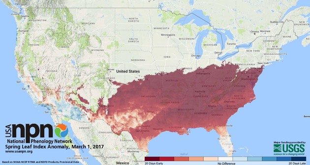 Status of Spring: Leaf Index Anomaly, 1 March 2017 (map from USA National Phenology Network, usanpn.org)