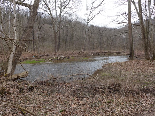 Raccoon Creek at the Wildflower Reserve, 26 Mar 2017 (photo by Kate St. John)