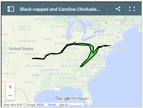 Screenshot of David Sibley's map of the black-capped and Carolina chickadee contact zone in 2010 (click on the map to see the original and zoom it in for your area)