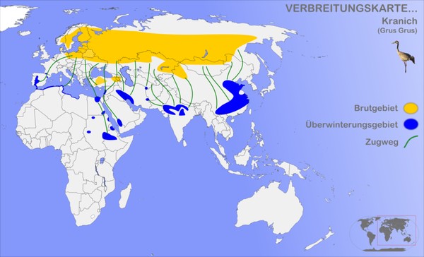 Range map of the Eurasian crane (map from Wikimedia Commons)
