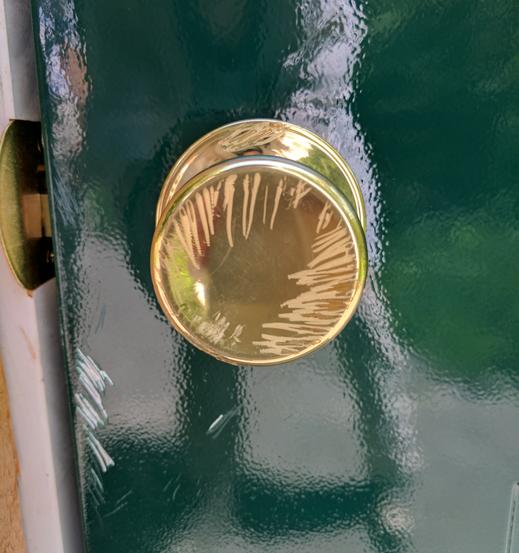 Tooth marks on the doorknob (photo by Kate St. John)
