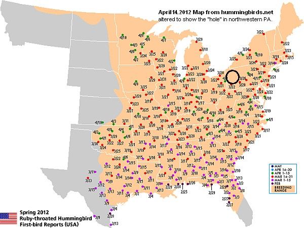 Ruby-throated hummingbirds migration, 14 April 2012 (image from hummingbirds.net)