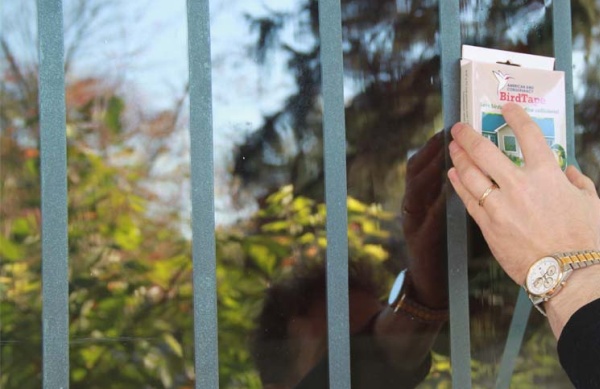 Vertical bird tape to prevent window collisions (image from ABCBirdTape.org))