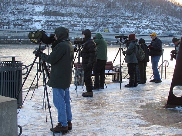 Watching gulls at the Point, Pittsburgh, PA Jan 31, 2015 (photo by Tim Vechter)