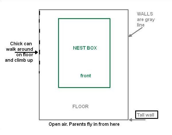 The Cathedral of Learning nest is surrounded by high and low walls (diagram by Kate St. John)