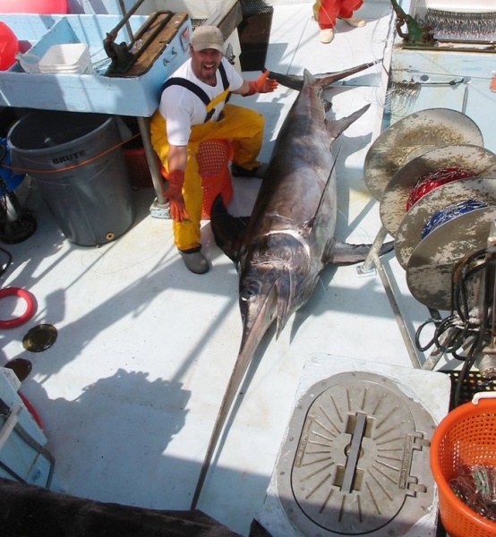 Large swordfish on deck during long-lining operations (photo by Derke Snodgrass via NOAA Photo Library)