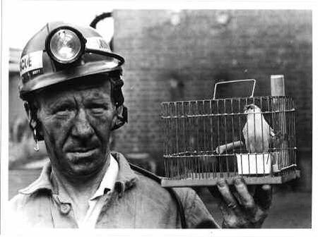 Station Officer John Scott holding a canary cage used in mines rescue training at Cannock Chase, UK (Image courtesy of the Museum of Cannock Chase. Copyright unknown)