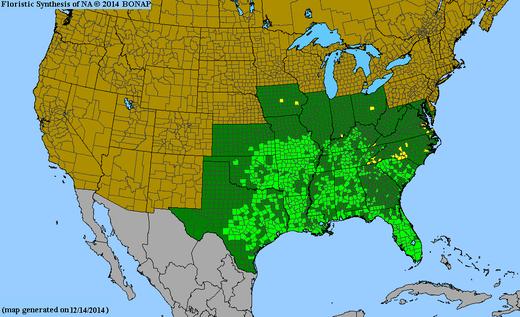  Biota of North America Program (BONAP) map of Verbesina virginica, 2014 (linked from bonap.net)