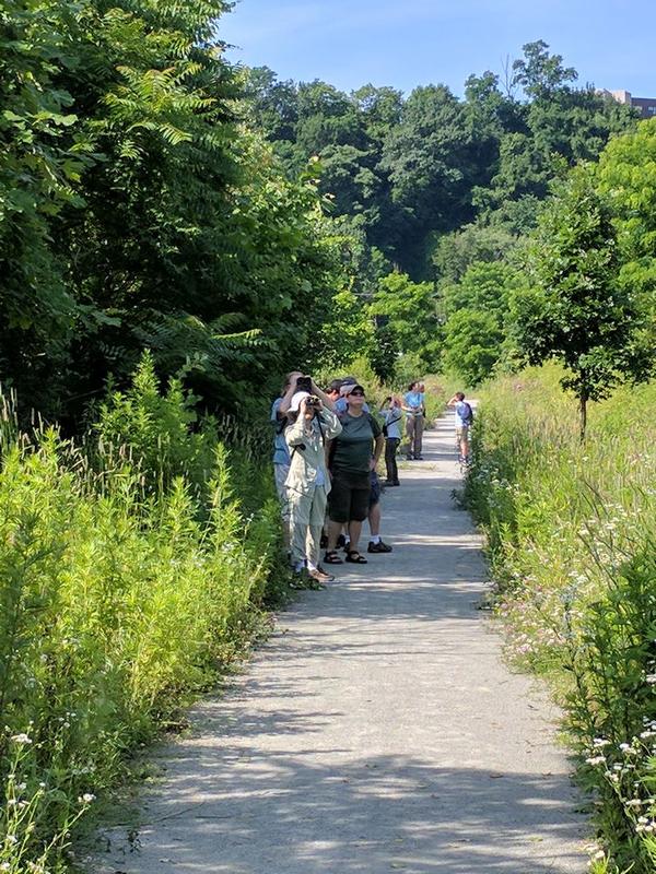 Some of the 27 participants in this morning's outing at Nine Mile Run Trail, 18 Jun 2017 (photo by Kate St.John)