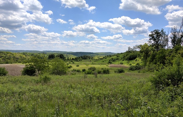 Piney Tract, Clarion County, 1 June 2017 (photo by Kate St. John)