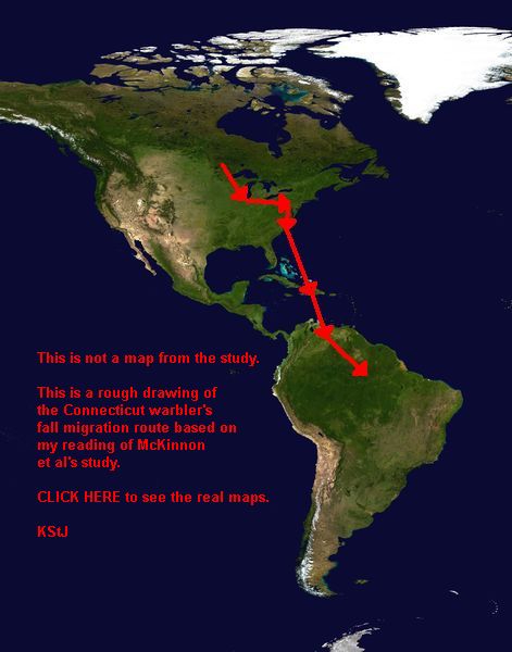 Very rough drawing of the warblers' route by Kate St. John. CLICK ON THIS IMAGE to see the real maps.