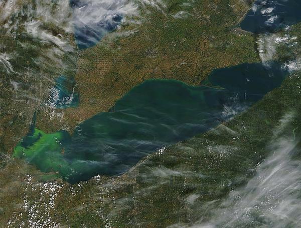 Lake Erie harmful algal blooms, Sept 2017 (satellite photo via NOAA GLERL on Flickr)