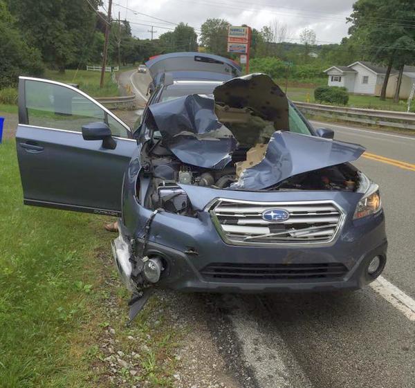 Deer damage to Marcy Cunkelman's car, 19 June 2017 (photo posted by Marcy Cunkelman)