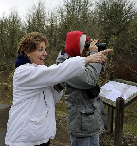 Bird watchers at the Refuge (photo by George Gentry/U.S. Fish and Wildlife Service)