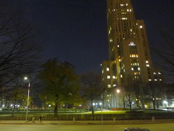 Well lit trees near the Cathedral of Learning with American crows roosting on top, 1 Dec 2017 (photo by Kate St.John)