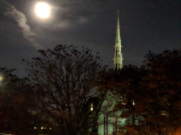 Moon rising, crows roosting, Heinz Chapel, 1 Dec 2017 (photo by Kate St.John)