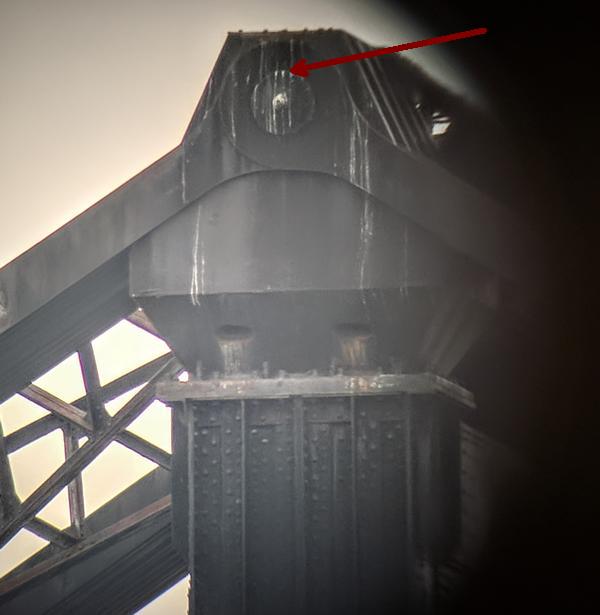 Central tower on Monaca-Beaver railroad bridge over the Ohio River, arrow shows the peregrine perch (photo by Kate St.John)