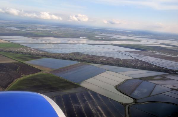 Rice fields seen from the air approaching Sacramento Airport (photo by Kate St. John)