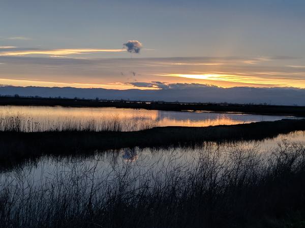 Sunset at Sacramento National Wildlife Refuge, 26 Jan 2018 (photo by Kate St. John)