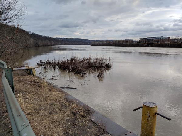 Moderately high water on the Monongahela River at Duck Hollow, 15 Feb 2018, 9:30am (photo by Kate St. John)