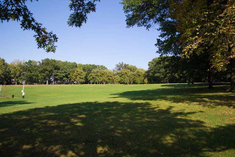 Schenley Park, Flagstaff Hill in summer (photo from Wikimedia Commons)