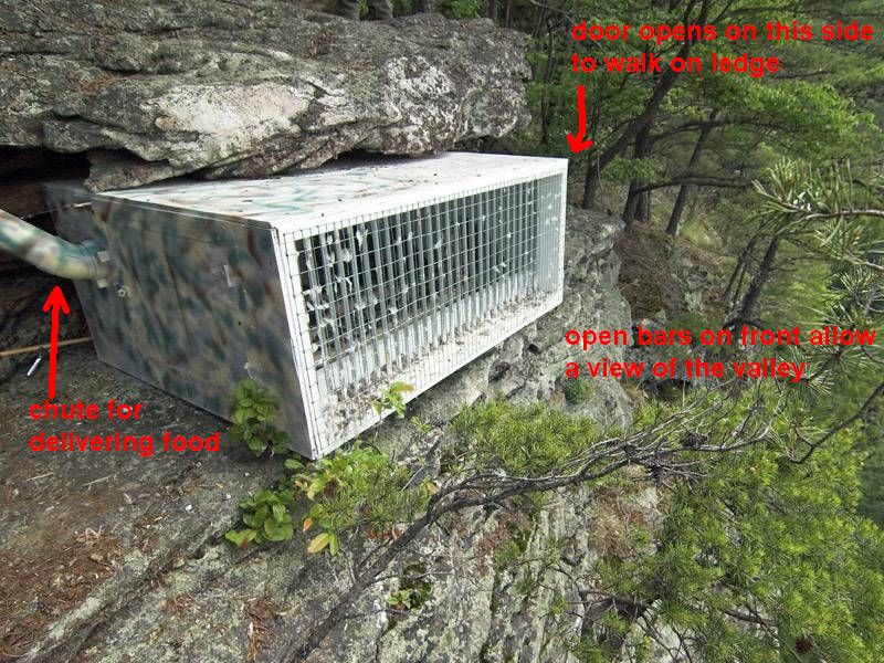 Peregrine hack box at New River Gorge National River (photo in public domain from NPS, annotated by Kate St. John)