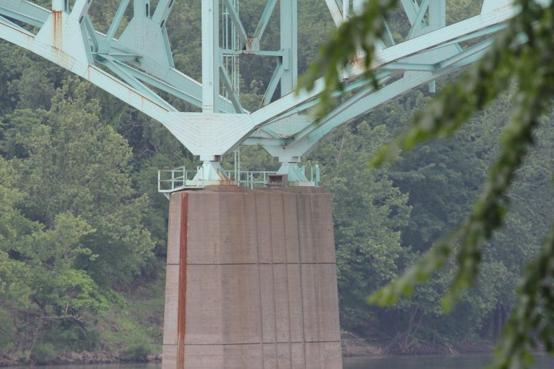 View of Tarentum Bridge nestbox area, June 2018 (photo by Amber Van Strien)