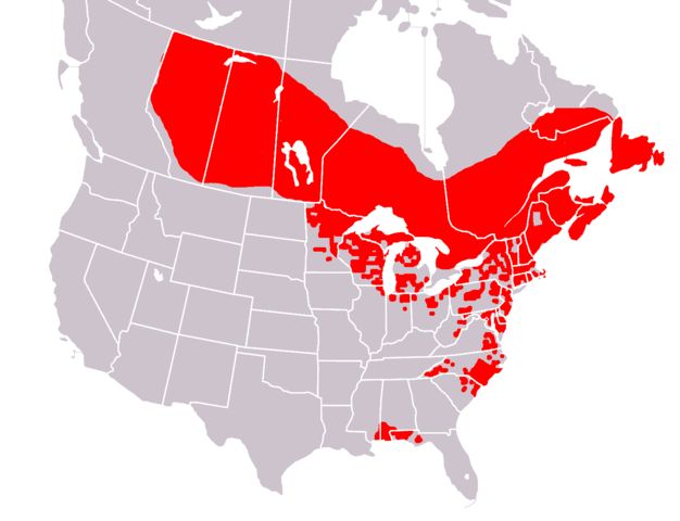 Range map of Sarracenia purpurea (image from Wikimedia Commons)