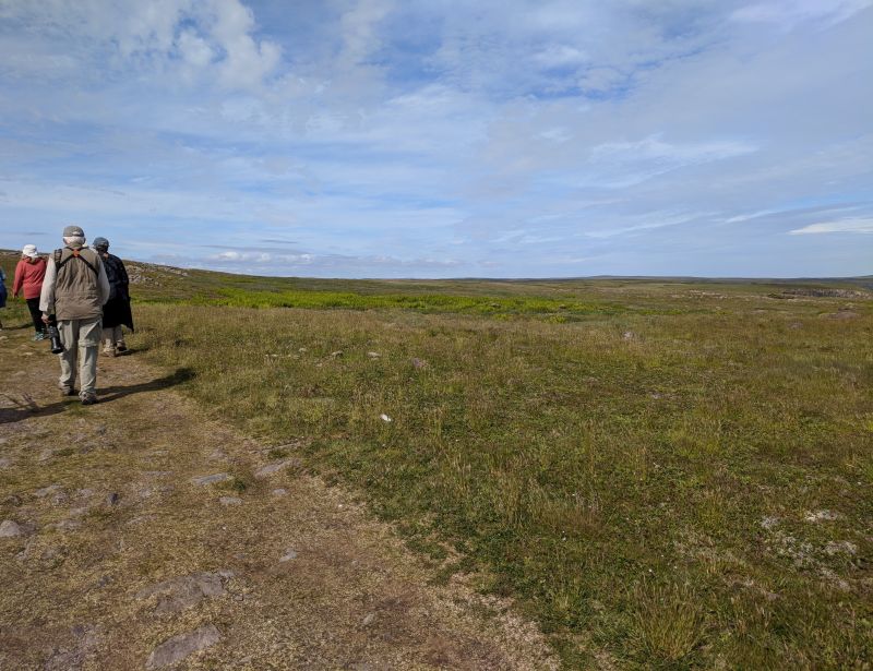 The landscape on the trail out to Bird Rock, 11 July 2018 (photo by Kate St. John)