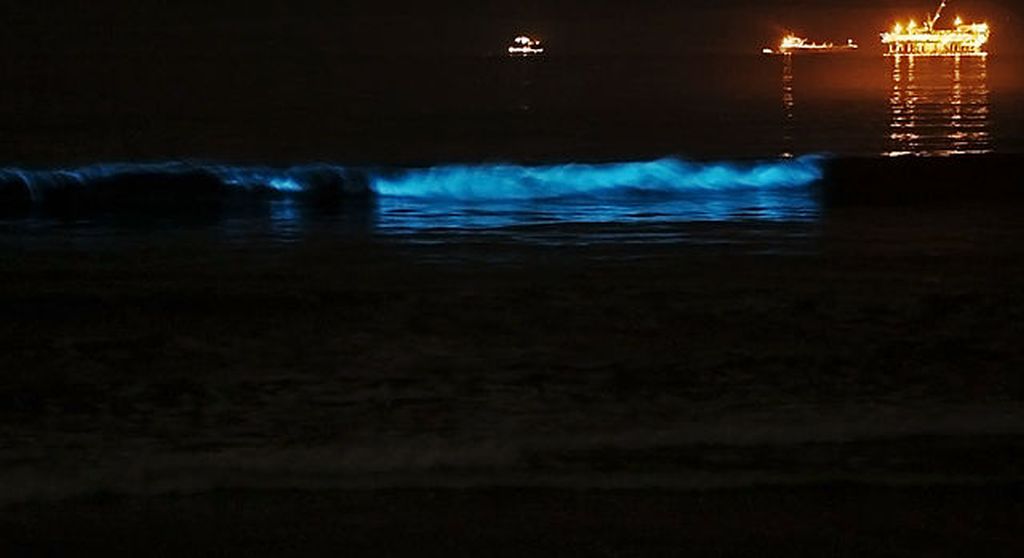Waves Glow Blue At Night